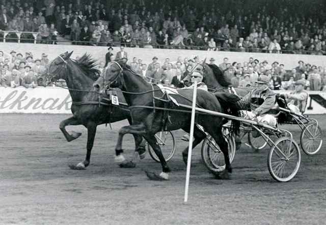 1954